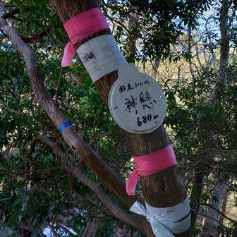 やっと来れた神縣