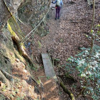 板が割れそう。