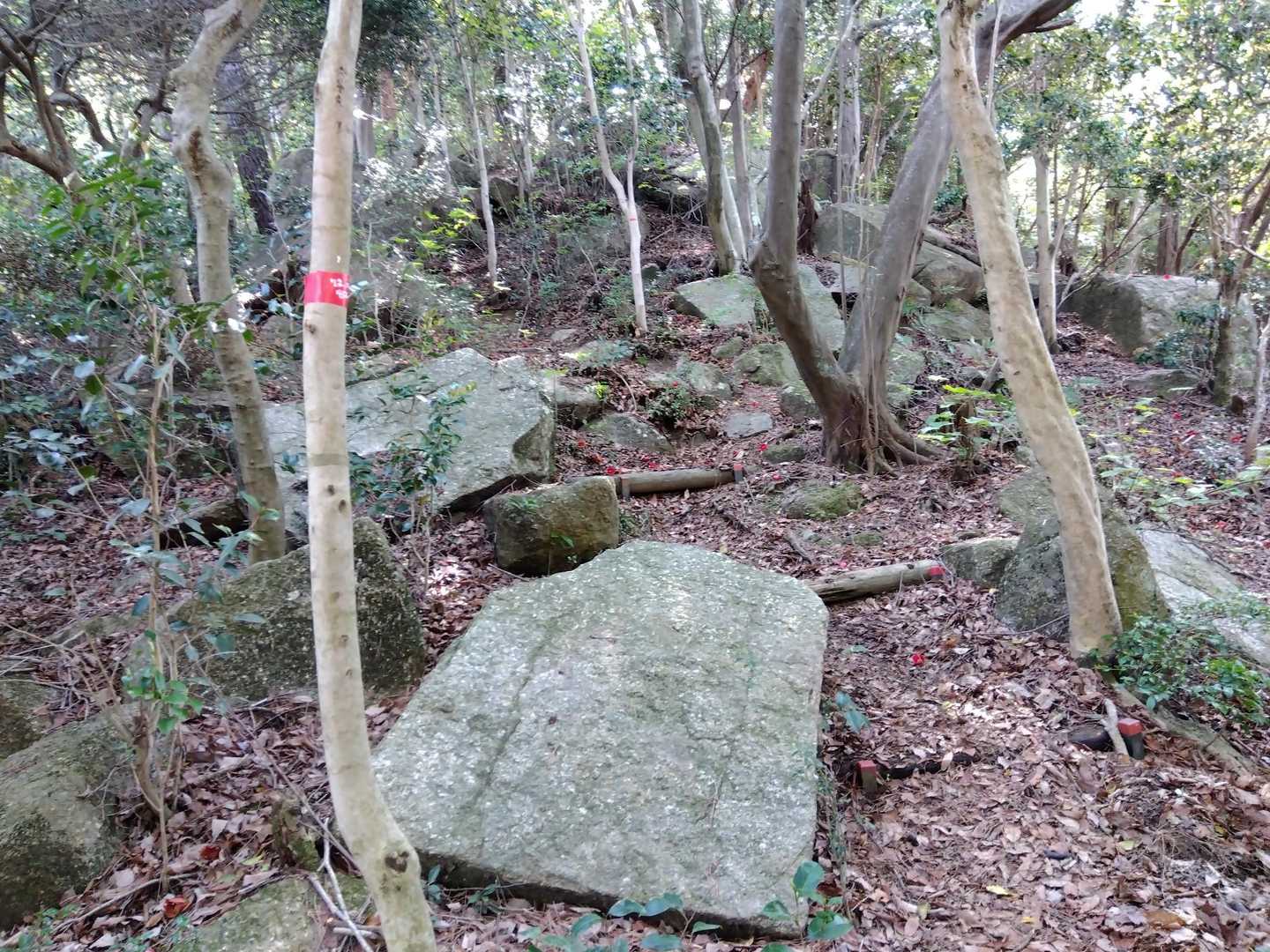 ここから急登💦