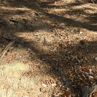 急な下りを今度は登る