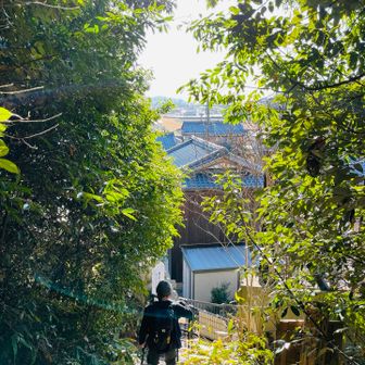 今　麓は住宅街😵