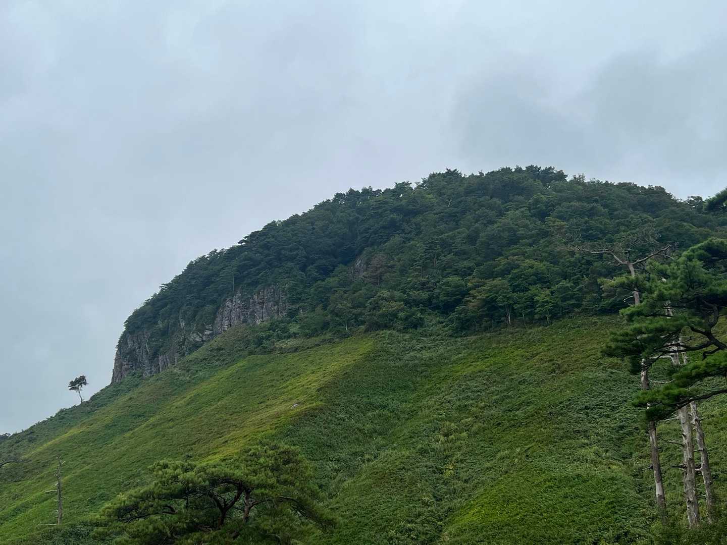 東坂登山口-船上神社 往復コースの写真