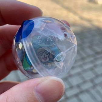 また…お猿さん🐒