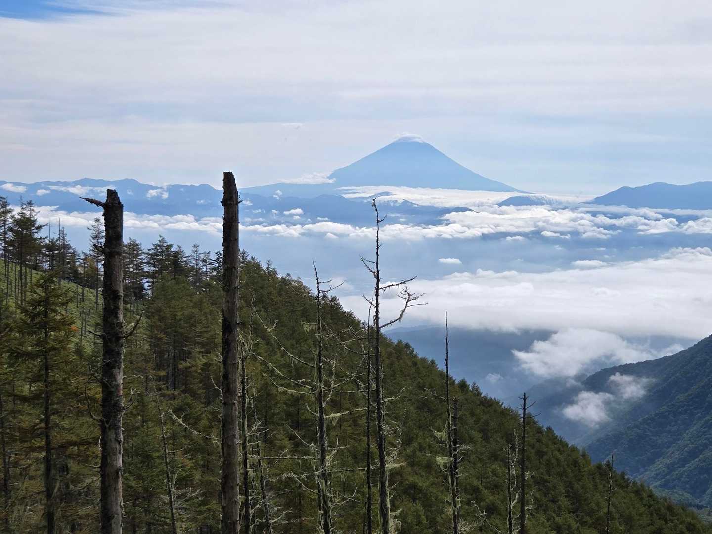 甘利山登山口-甘利山-大西峰 往復コースの写真