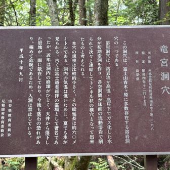 竜宮洞穴について　