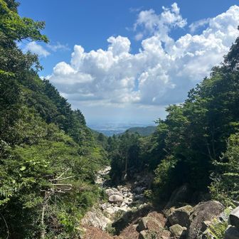 登ってきた