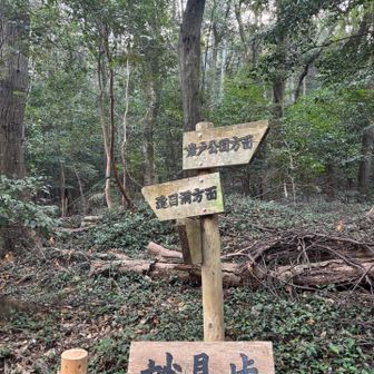妙見峠を岩戸公園方面へ➡️