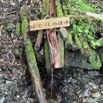 水場ですが、この樋の部分に土が少し溜まっていてあまりきれいな水ではなさそう・・・。