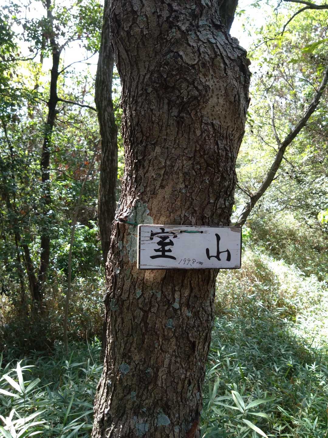 室山着