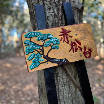 キレイな標識が
道からちょっと外れたところにあった