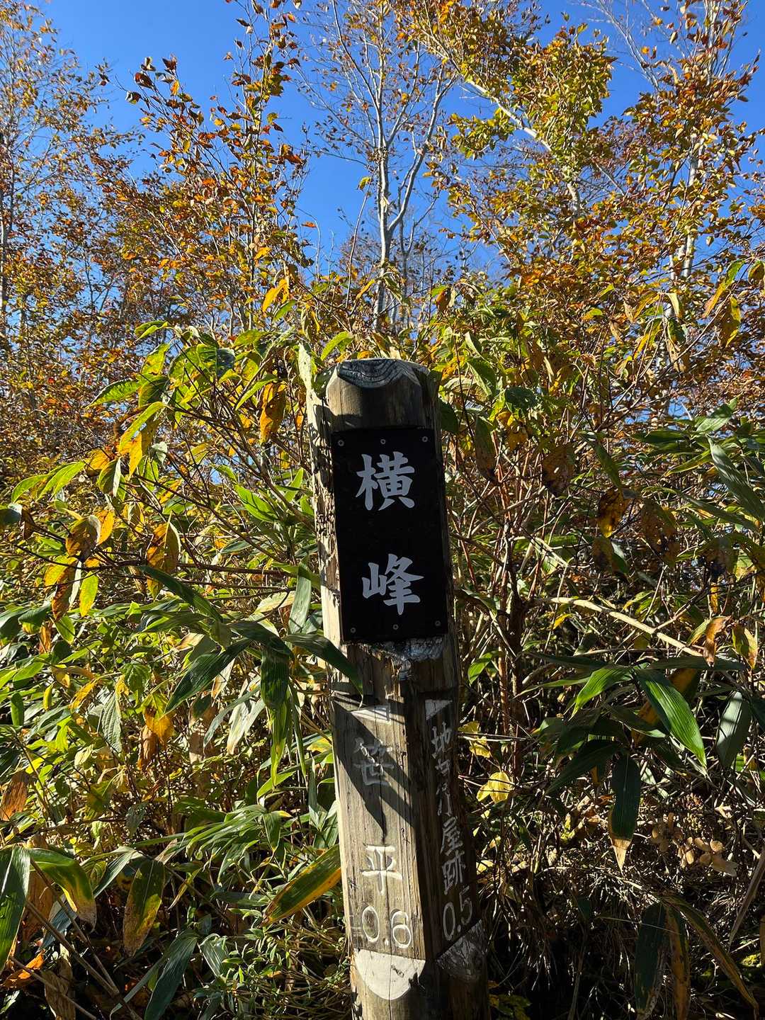 長坂の先にあるほぼ水平ロード