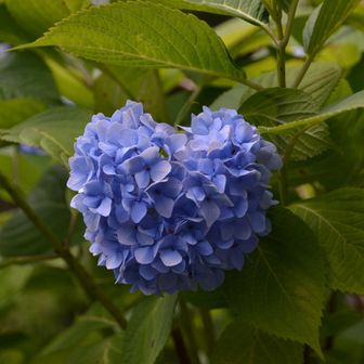 またまた、♡みっけ♡