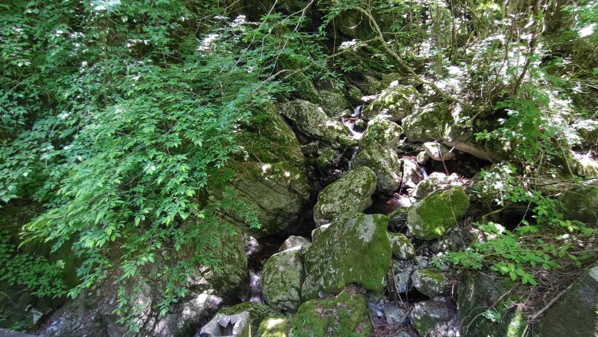 いい山旅になりました