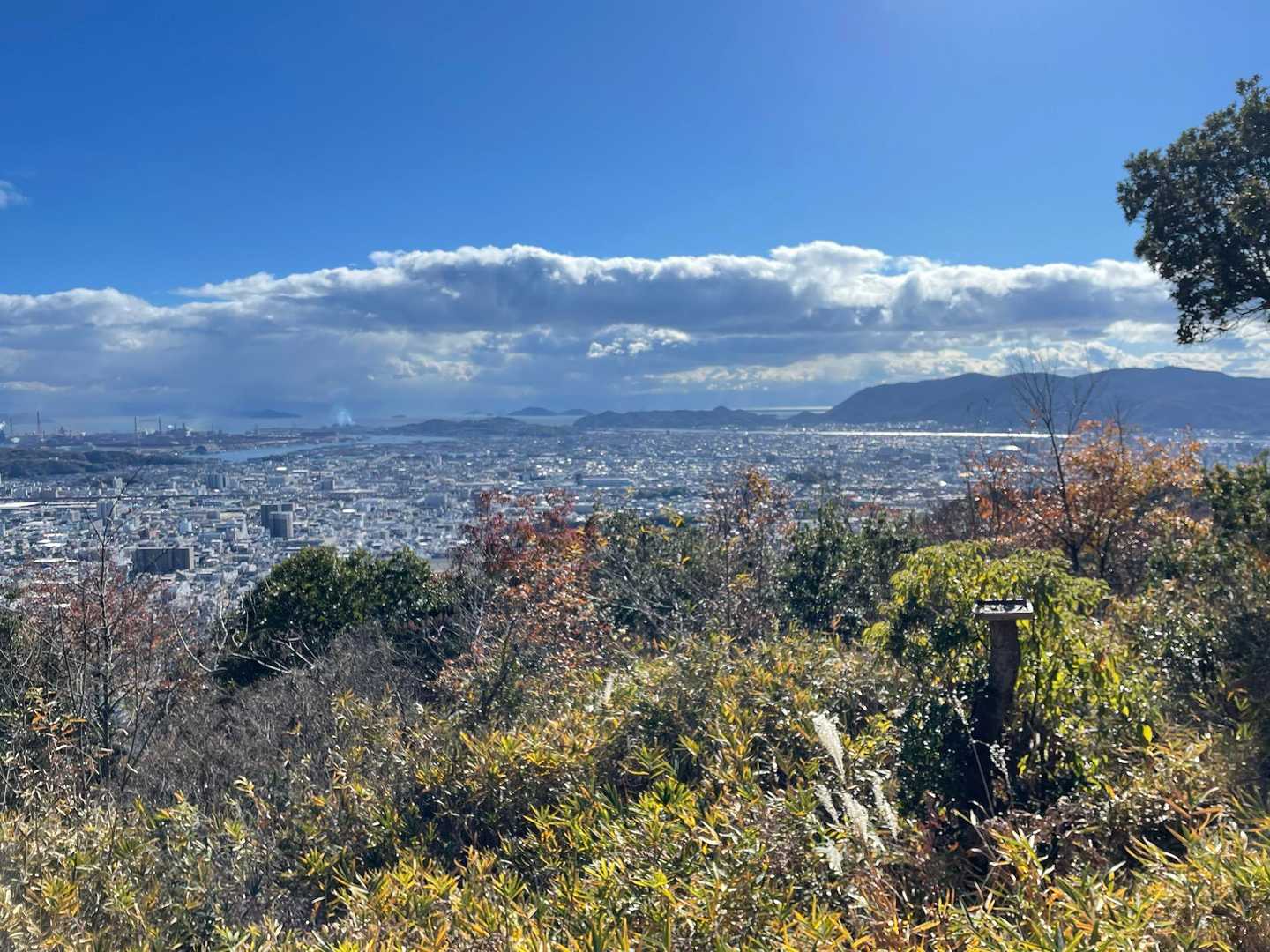 福山の街並みを一望🩵