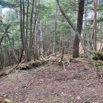 そして、下山も難しい(-_-;)