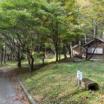 無事下山！
出会ったのは20代？の女性のお孫さんと一緒に登山されてた男性の2人でしたが、孫と登山できるのは憧れます😊