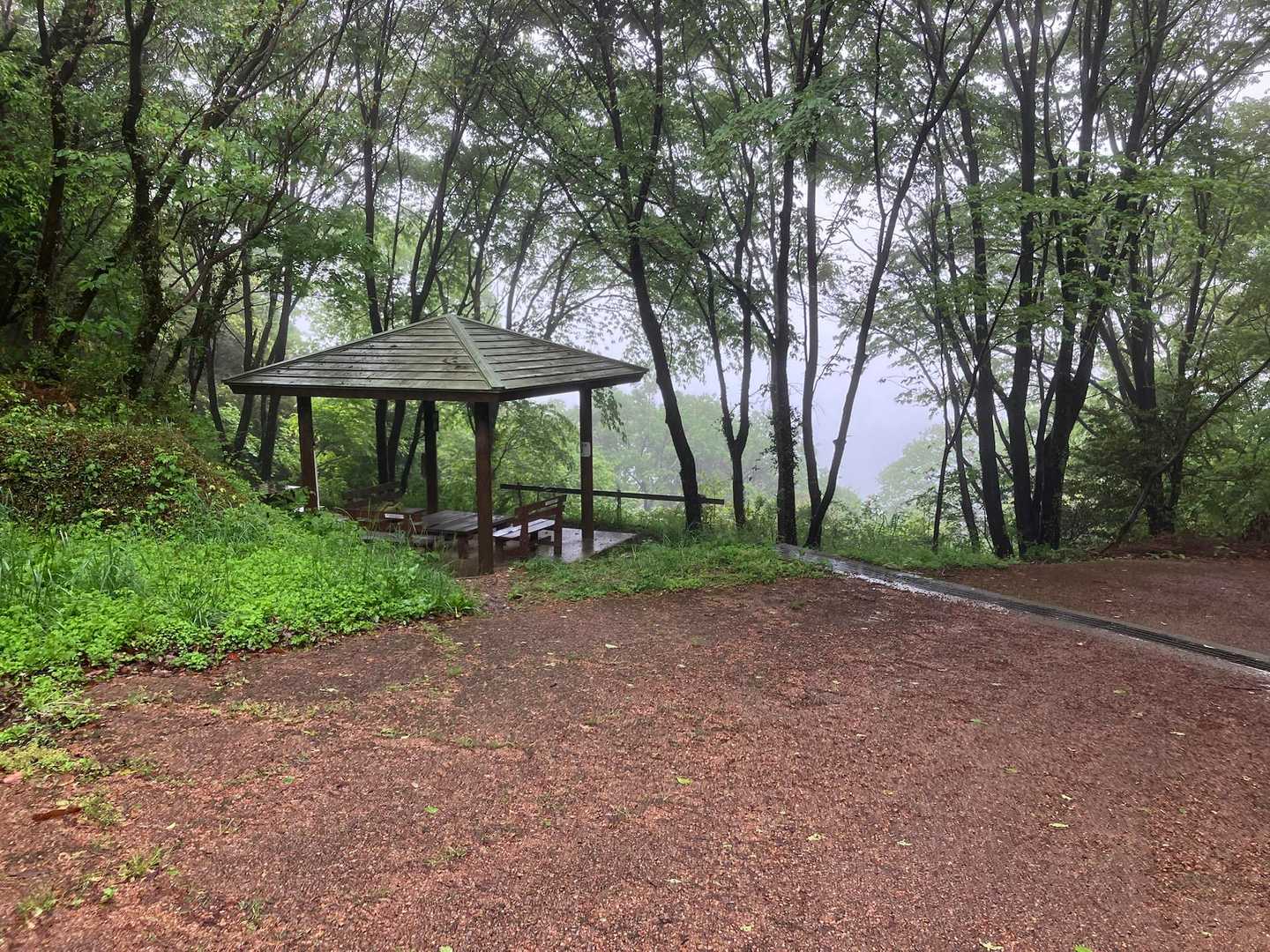 ここから、高校の時の話。

足立と正太郎と映画に行った。なぜか田部（タナベ）はいない。たぶん、誘うのが面倒だったんだと思う。
観たのはオリバー・ストーンの『プラトーン』。
ベトナム戦争ものということで、俺たちは勝手に『ランボー』的なド派手なアクションを期待していた。もっとも、今思えば本家の『ランボー』だって単なるアクション映画ではないのだが、当時の俺たちはそんなに深く考えていない。
だが、上映開始早々、俺は異変に気づいた。
「誰が誰だか、さっぱりわからない」
全員が同じ軍服を着て、泥にまみれている。エリアスとバーンズという二人の男が対立しているらしいことは辛うじて理解できたが、肝心の「どっちがエリアスで、どっちがバーンズか」が判別不能なのだ。
俺以外も状況は同じだった。
結局、物語のドラマに没入する前に「個体の識別」という高い壁にぶち当たり、戦争の混沌（カオス）だけを浴びて上映が終了した。
（もし田部が来ていたら、「なあ、どっちがイイもんなんだ？」としつこく聞いてきて面倒なことになっていただろう。こっちだって判別できてないっつーの！）
