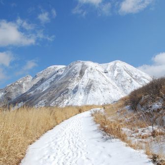 4丁目の父ちゃん