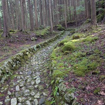 塩の道
石が敷詰められてる。だけど濡れると滑る。