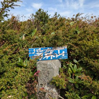 湯森山山頂は眺望なし