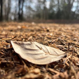 　　　　　ピークは全て歩いてみた