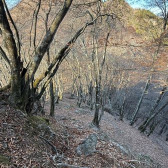 霧藻ヶ峰に向けても大きく下り