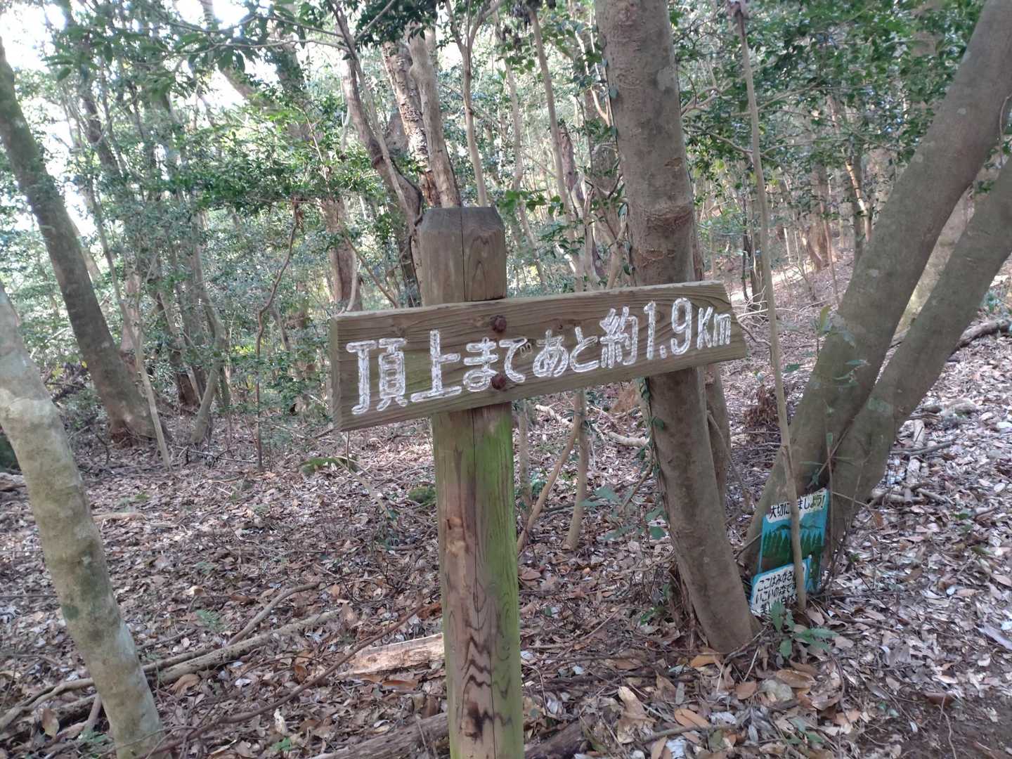 ここから右折。ピンクテープを見ながら銭積石へ。