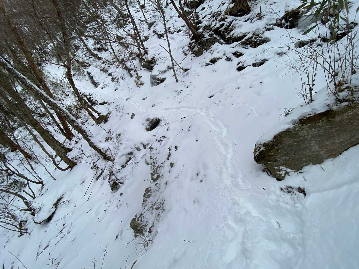 途中、登山道が崩れかけた
ところが1箇所あり
滑落に注意⚠️👀してください🖐️