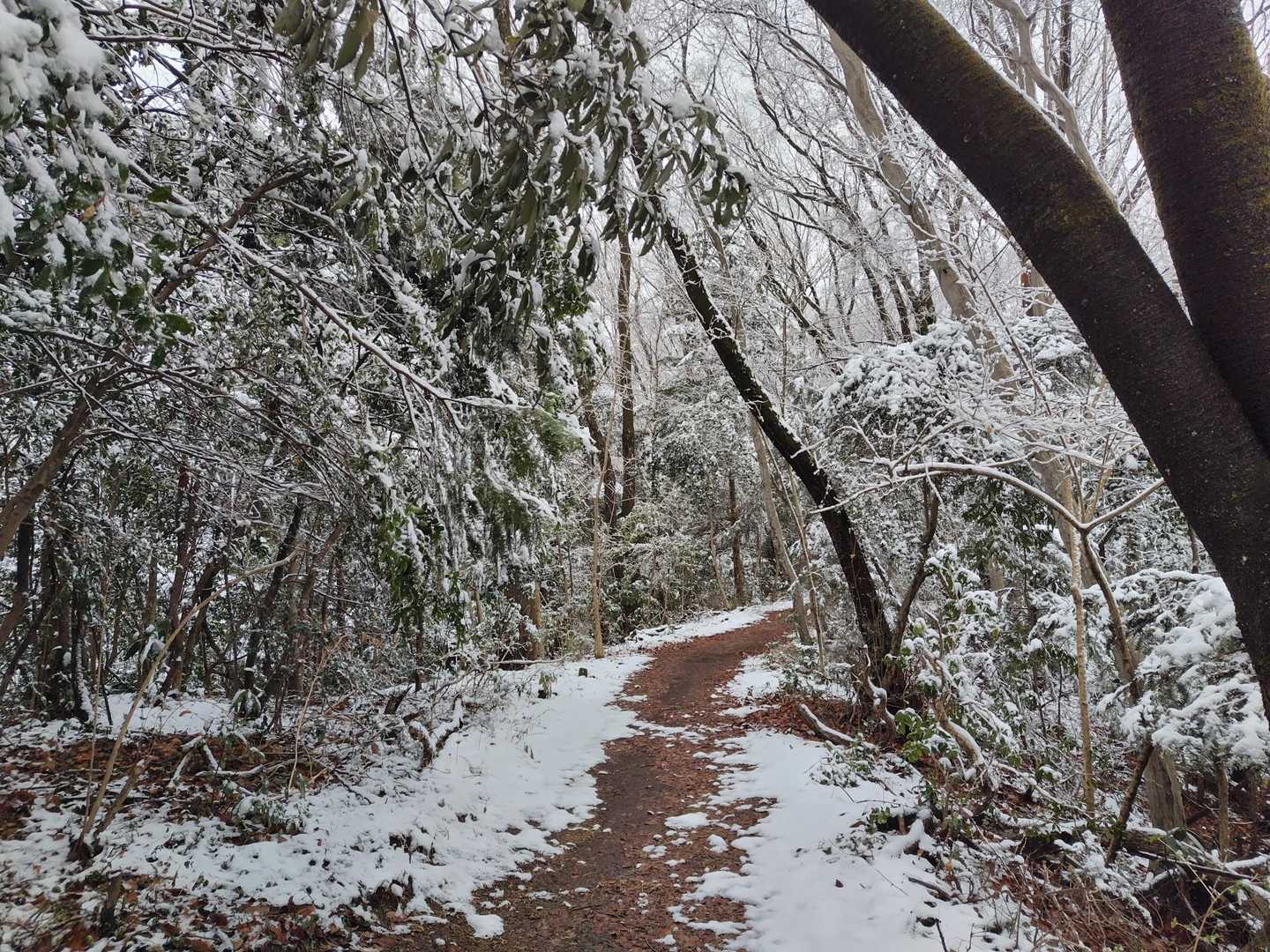 天祖神社登山口-馬引沢峠-赤ぼっこ-畑中三丁目バス停-畑中 縦走コースの写真