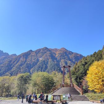 １本だけ見事に色づいた木が目立つ✨️