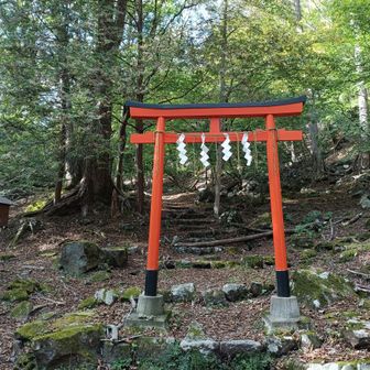 一ノ鳥居　朝は真っ暗だったので改めて。