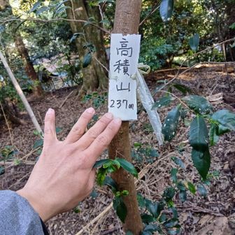 高積山の山名板。白テープが目印になるのかな🤔