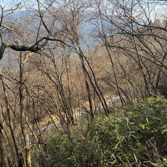 道が見えてきました
帰りは何とか1時間位で下りてこられました