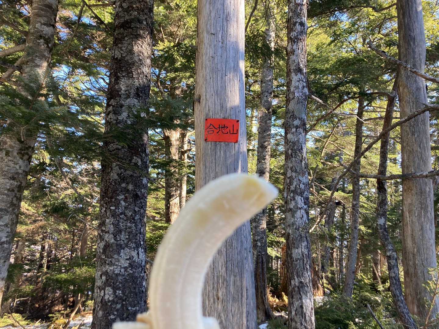 PⅡまで戻って🍌休憩。この北東尾根を進めばマロン溢れる柴沢へ行けるんですね。