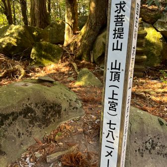 求菩提山とうちゃこ