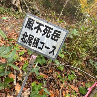 ワクワクしながらスタート▶️