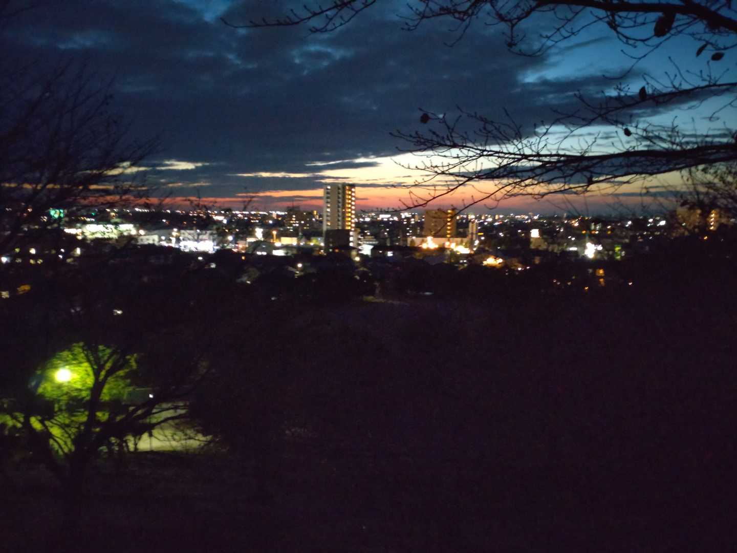 展望台からの夜景