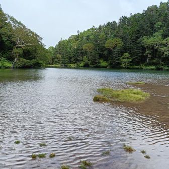阿弥ヶ池