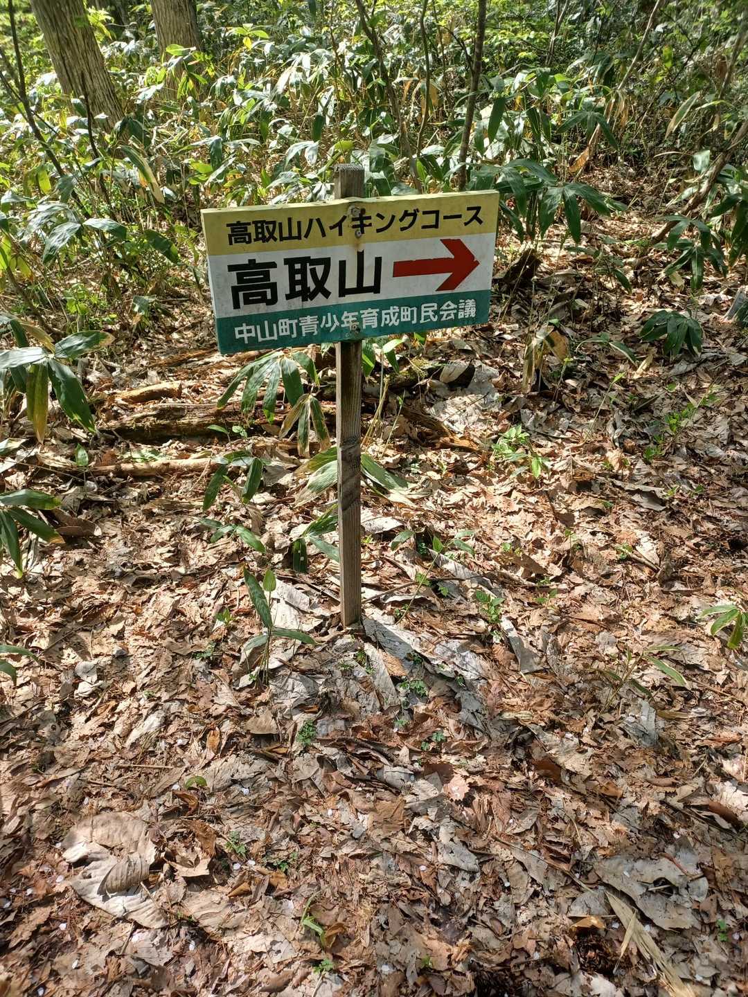 高取山 往復コースの写真