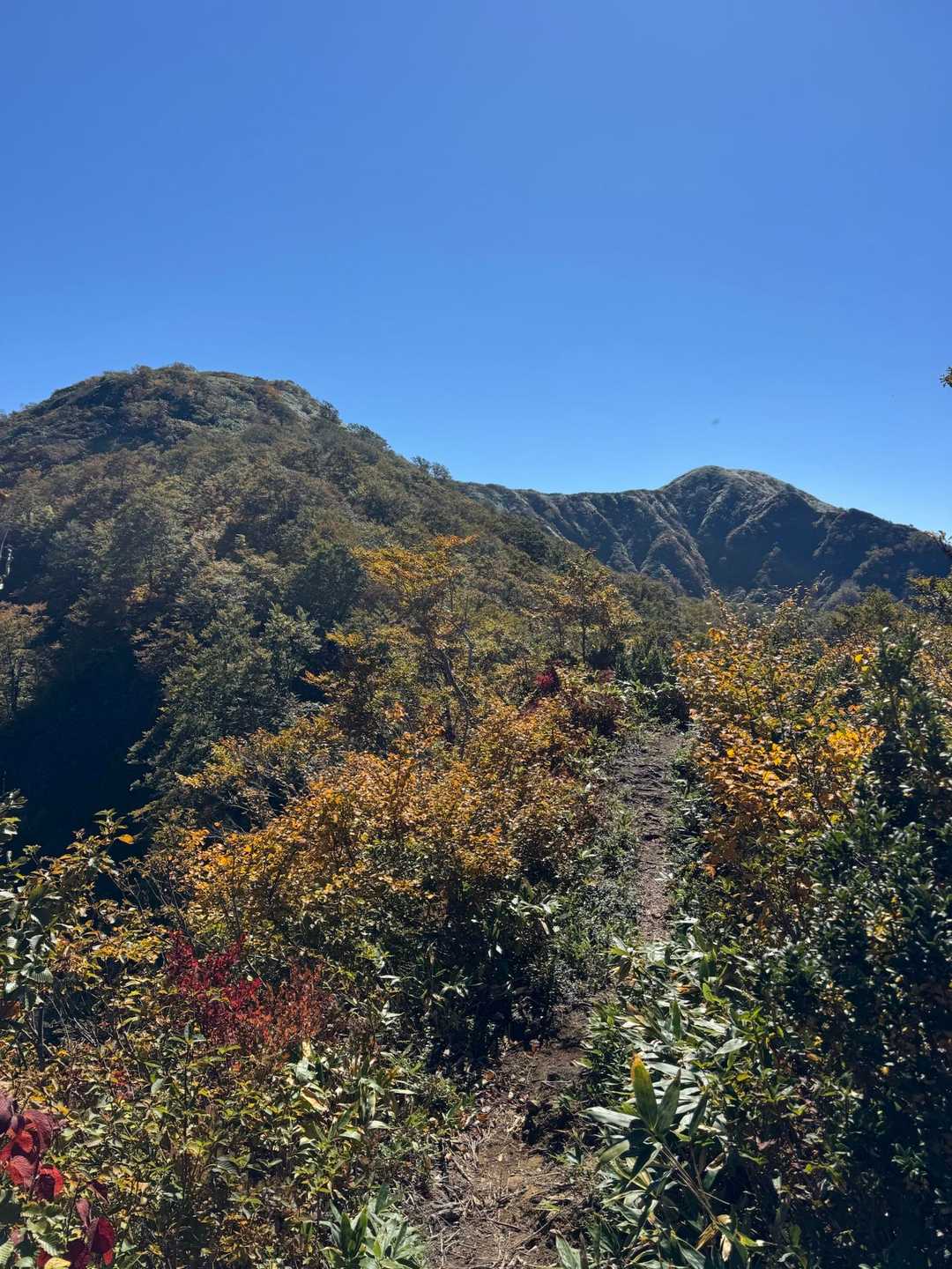 法恩寺山・伏拝・北岳・経ヶ岳 / yamaの登山データ | YAMAP / ヤマップ