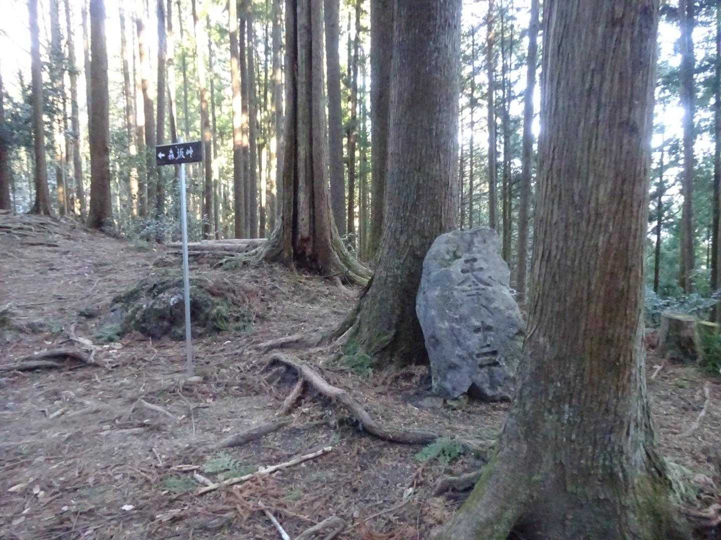 写真撮るの下手でしたが、案内の森坂峠は上方面ですが、子の権現は道なり左手方面です。
