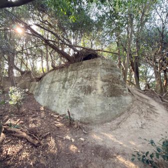 これが東山の砲台跡ですかね