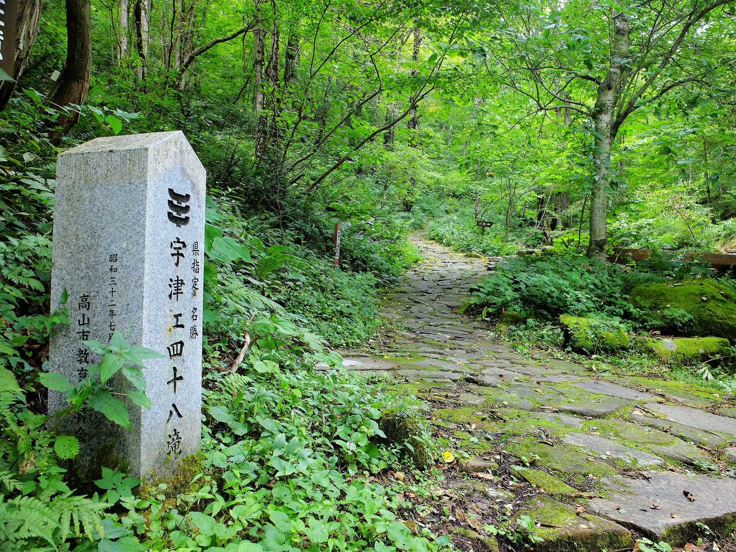 はじめましての宇津江四十八滝。
どんなんでしょう～。