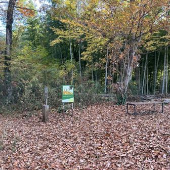 大将山山頂の全景。