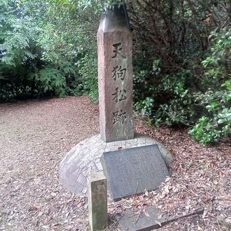 天狗山
YAMAPの山頂部は藪中🤣