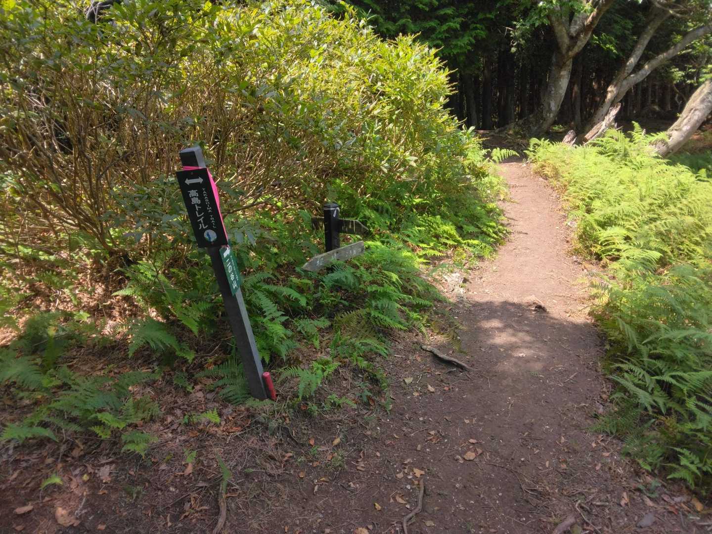 高島トレイルとの分岐を過ぎれば‥🚶‍♂️🚶‍♀