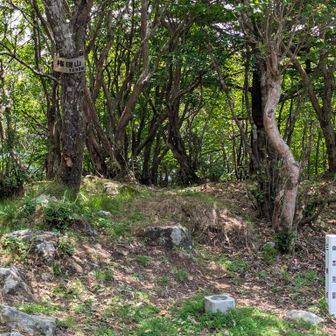 赤石方面に向かうため、権現山を通過