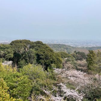 お参りして、展望台から我が家方向
もちろん見えませんが