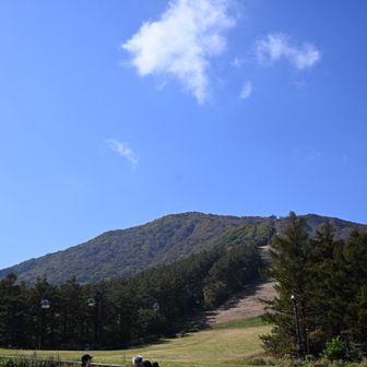 🚡山頂駅辺りはこれから🍁かな
