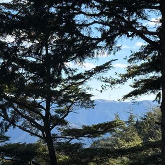 静岡の方、晴れてそうだなぁ　と
眺めてる

昨夜、LINEが。
今日、か〜さん と し〜ちゃんが
静岡の山を歩くって

行っちゃおっかなぁ
けど
まだお正月来るのに掃除もしてない！

🕶️「だから11月中からちょっとずつ🧹済ませる！って言ったでしょ！」

👿「来年からは　そーします。たぶん・・」

